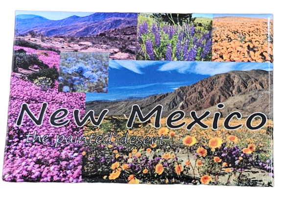 New Mexico Painted Desert Magnet