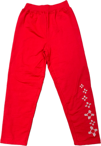 Ladies Red Sweats with Silver Falling Zia Symbols